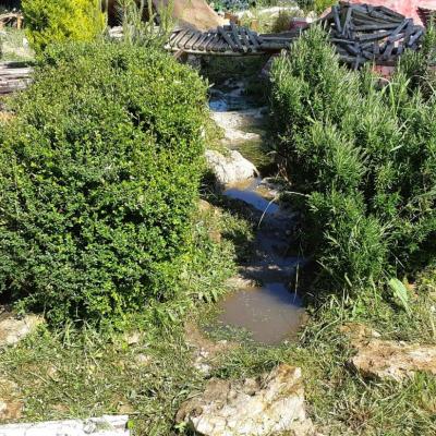 Parc crawler 15052020 1